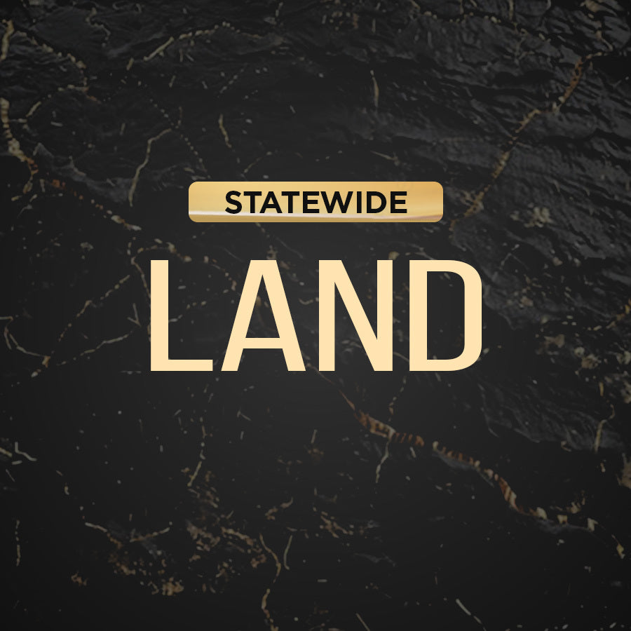 Statewide Land Conqueror - 10 Leads a month